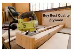 Best Plywood Manufacturers In Delhi NCR